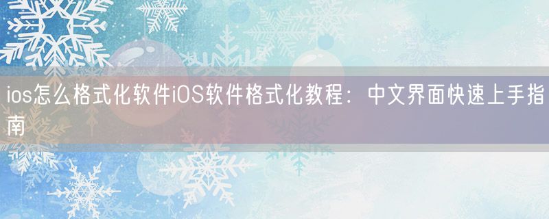 ios怎么格式化软件iOS软件格式化教程：中文界面快速上手指南