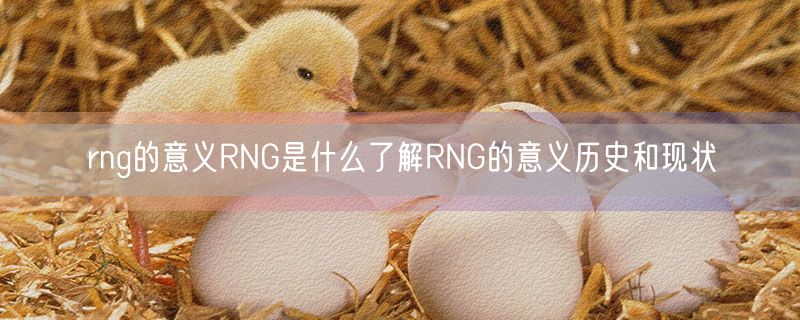 rng的意义RNG是什么了解RNG的意义历史和现状