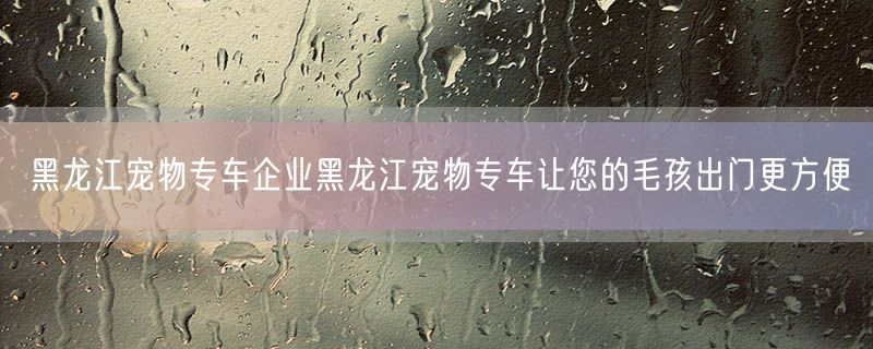 <strong>黑龙江宠物专车企业黑龙江宠物专车让您的毛孩出门更方便</strong>