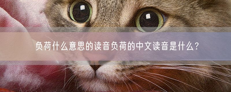负荷什么意思的读音负荷的中文读音是什么？