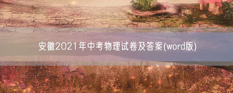 安徽2021年中考物理试卷及答案(word版)